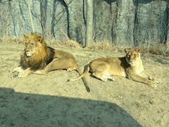 -北京野生动物园