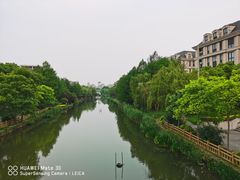 -新江湾城公园