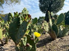 -Club Med地中海俱乐部·桂林度假村