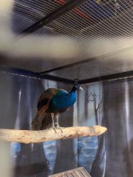 -酷嗒动物文化乐园(cutezoo西溪乐天城店)