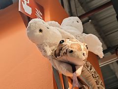 -宜家家居(四元桥商场店)