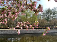 -海棠花溪(元大都城垣遗址公园)