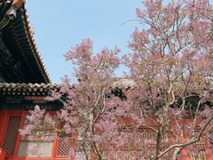 -雍和宫
