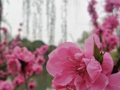 -圩墩遗址公园