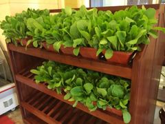 -聚宝渔港.五钻酒家(上地店)