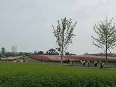 -径山花海
