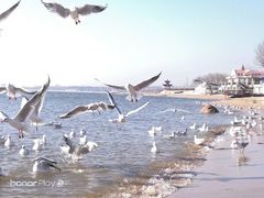 -老虎石海上公园