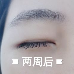 -BELLAREAL新美社