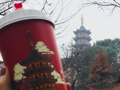 -鸡鸣赐茶(鸡鸣寺路店)