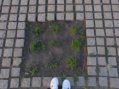 -哈尔滨大剧院
