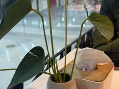 -眉州东坡(华联万柳店)