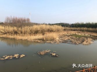 超级超级大啊，进门口是沙滩区