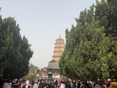-大慈恩寺(大雁塔)