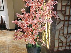 -便宜坊烤鸭店(贵园里店)