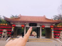 -西苑公园