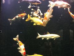 -弘安丽水温泉酒店
