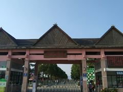 -上海都市菜园