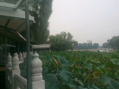 -小王府(什刹海店)