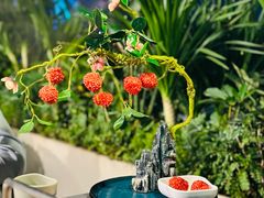 -故里和山·成都火锅(欢乐港湾店)