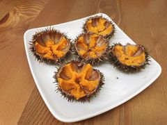 -海胆小馆(东北水饺·春柳店)