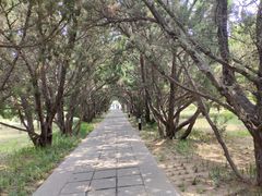 -洛阳古墓博物馆