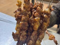 -张四烤羊肉(西藏自治区拉萨市丹杰林巷店)