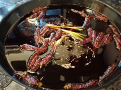 -重庆川渝肥妹火锅