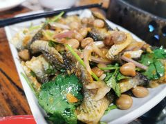 -章记正宗南岗鱼蛋火锅