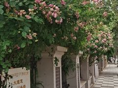 -天津五大道文化旅游区