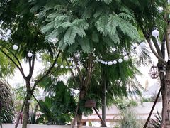 -悦哉·派对·草坪婚礼·围炉煮茶(三圣乡店)