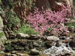 -湖洞水自然风景区