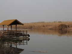 -宁波杭州湾国家湿地公园