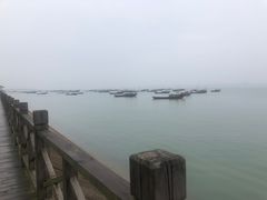 -鄱阳湖国家湿地公园