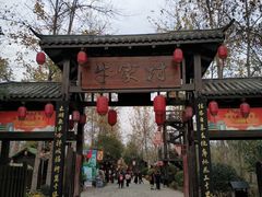 -合肥滨湖国家森林公园