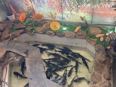 -春盛渔府(牛首山店)