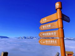 -达瓦更扎