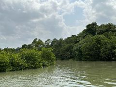 -东寨港红树林旅游区