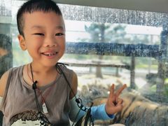 -西霞口神雕山野生动物世界