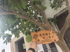 -太平天国侍王府