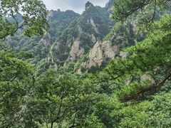 -王顺山国家森林公园