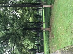 -后襄河公园