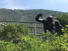 -无锡动物园·太湖欢乐园