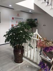 -痘博士昆明·国际祛痘领跑品牌