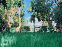 -脏鸭餐厅(乌布总店)