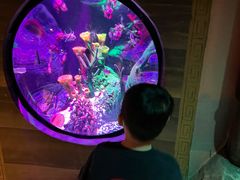 -沈阳海洋探索中心