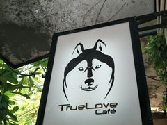 -TrueLove @ Neverland (Husky Cafe)