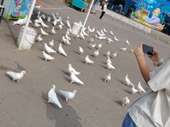 -泉城欧乐堡海洋极地世界