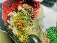 -西郊5号·Maggie 5