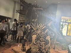 -自贡恐龙博物馆