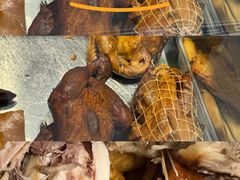 -一手店(惠新西街店)